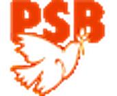Partido Socialista Brasileiro (PSB)